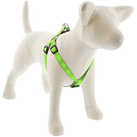 Lupine Pet Lupine 0.75 x 15-21 in. Diamond Dog Harness, Green 107743